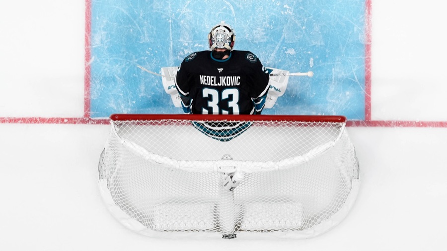 Alex Nedeljkovic photographed from above and behind in a black San Jose Sharks sweater, NEDELJKOVIC and the number 33 across his back, standing alone in his crease with the net and the goal line in the foreground.